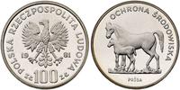 100 złotych 1981, PRÓBA, KONIE, srebro 16.5 g, w