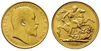1 funt 1908/S, Sydney, złoto 7.98 g, bardzo ładn