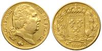 20 franków 1819/A, Paryż, złoto 6.41 g, Fr. 538