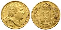 20 franków 1817/A, Paryż, złoto 6.44 g, Fr. 538