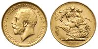 1 funt 1919/P, Perth, złoto 7.97 g, piękne