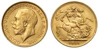 1 funt 1911, Londyn, złoto 7.98 g, piękne