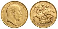 1 funt 1907, Londyn, złoto 7.98 g, piękne