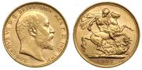 1 funt 1907 / M, Melbourne, złoto 7.98 g