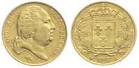 20 franków 1817 / A, Paryż, złoto 6.39 g, Fr. 53