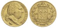 20 franków 1818 / A, Paryż, złoto 6.37 g