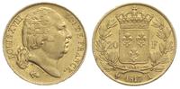 20 franków 1817/A, Paryż, złoto 6.45 g, Gadoury 