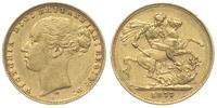 1 funt 1877/M, Melbourne, złoto 7.96 g, Fr. 16, 