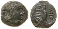 brąz ok. 160-150 pne, Aw: Głowa Heraklesa w praw