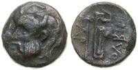 brąz przed 336 r. pne, Aw: Głowa Borystenesa w l