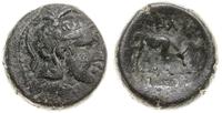 brąz 181-137 pne, Aw: Głowa Ateny w hełmie w pra