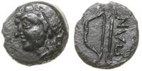 Grecja i posthellenistyczne, brąz, ok. 304-250 pne