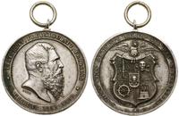 medal pamiątkowy 1889 (?), Aw: Głowa w prawo, ni