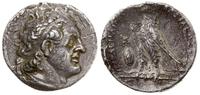 tetradrachma, Aleksandria, Aw: Głowa Ptolemeusza