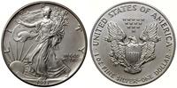 1 dolar 1993, Filadelfia, typ Walking Liberty, s