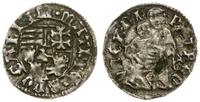 denar 1479-1485 I -, Nagybanya, Aw: Tarcza herbo