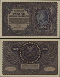 1.000 marek polskich 23.08.1919, seria I-DF, num