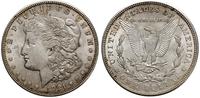 dolar 1921 D, Denver, typ Morgan, srebro próby "