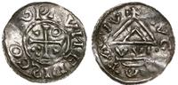 denar 1006-1009, mincerz Vilija, Aw: Krzyz z roz