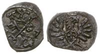 Polska, denar, 1607
