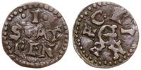 1 fenig bez daty (1647-1717), miedź, Buck 160d