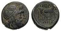 AE 19 II w pne, Głowa Zeusa/ Byk, patyna