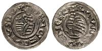 denar, Władca na tronie/Ptak, Cach 313