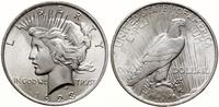 dolar 1923, Filadelfia, typ Peace, srebro 26.77 