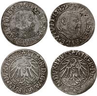 lot 2 x grosz 1541, 1542, Królewiec, grosz 1541 