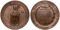 Polska, medal na pamiątkę 300. rocznicy założenia gimnazjum św. Anny w Krakowie, 1888