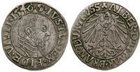 Prusy Książęce 1525-1657, grosz, 1546