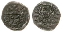 denar 1556, Elbląg, ciemna patyna, Kop. 7100 (R3