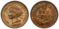 1 cent 1907, Filadelfia, typ Indian Head, brąz, 