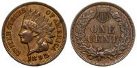 1 cent 1892, Filadelfia, typ Indian Head, brąz, 
