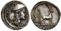 denar 55 pne, Rzym, Aw: Głowa kobiety w prawo, n