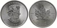 5 dolarów 2015, Ottawa, typ Maple Leaf, srebro p