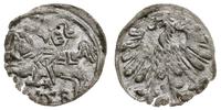denar 1558, Wilno, lekko niecentryczny, ale bard