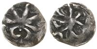 denar ok. 1410, Aw: Pół-gwiazda i pół-lilia podw