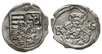 obol bez daty (1508-1516), Kremnica, Aw: Pięciop