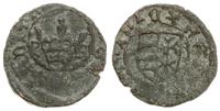 denar ok 1442-1443, Pecz, Aw: Korona, po bokach 