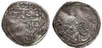 denar 1524, Wrocław, Aw: Tarcza herbowa, z boków