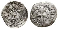 denar ok. 1373-1382, Buda, Aw: Głowa Saracena w 