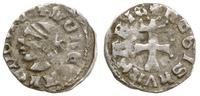 denar ok. 1373-1382, Aw: Głowa Saracena w lewo, 