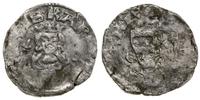 denar bez daty (1338), Kremnica, Aw: Półpostać w