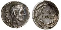 denar 48 pne, Rzym, Aw: Głowa A. Postumiusa w pr