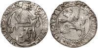 talar lewkowy (Leeuwendaalder) 1646, srebro, 27.