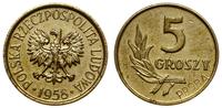 Polska, 5 groszy, 1949
