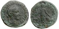 brąz 238-244, Aw: Popiersie cesarza w wieńcu lau