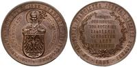 Polska, medal na pamiątkę 300. rocznicy założenia gimnazjum św. Anny w Krakowie, 1888