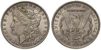 dolar 1884 / O, Nowy Orlean
